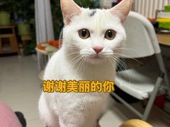 -宠福鑫动物医院(立水桥分院)