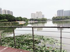 -南翔镇银翔湖公园