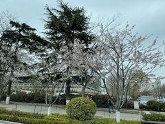 -青岛海尔洲际酒店