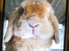 -前小桔亲子创意农场·草莓采摘·露营烧烤