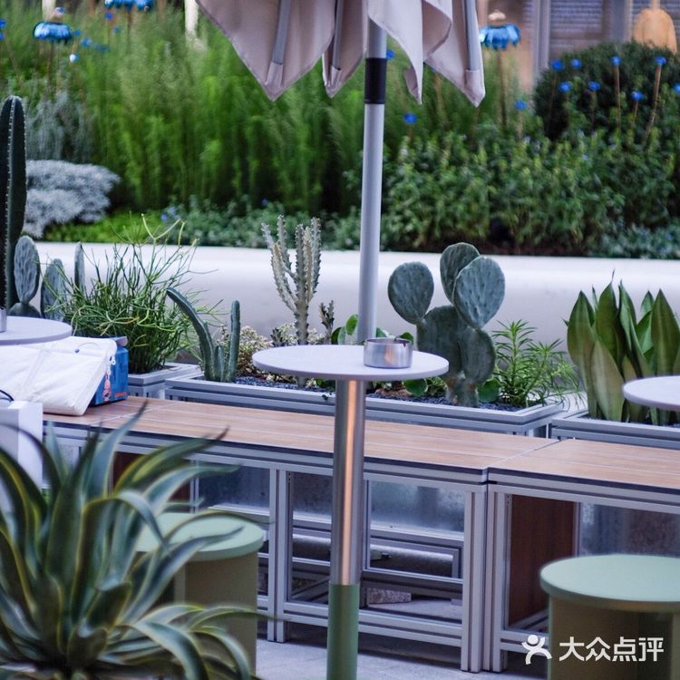 KUDDO 新店 🌵🌵