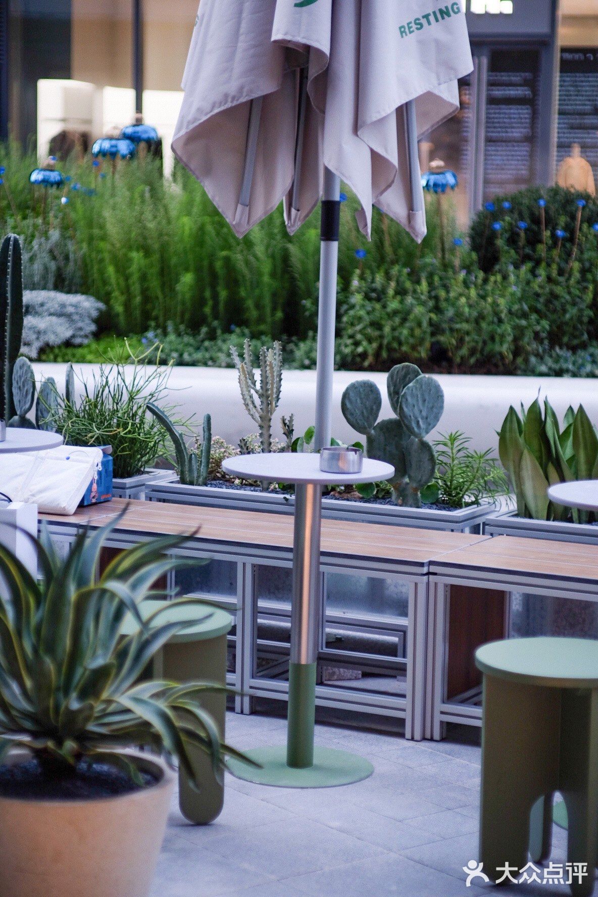 KUDDO 新店 🌵🌵