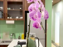 -Isofit 普拉提·婵柔工作室