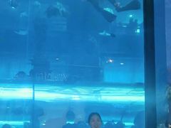 -乐从天佑城海洋馆