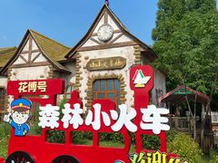 -东平国家森林公园