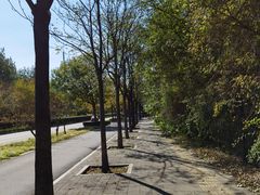 -DQ·蛋糕·冰淇淋(湖景东路店)
