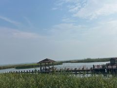 -太湖湖滨国家湿地公园-停车场