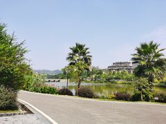 -枫香湖儿童公园