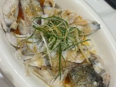 -香港新曜记茶餐厅(星耀城店)