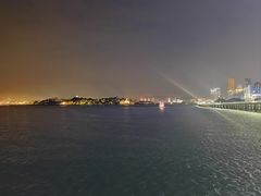 -演武大桥观景平台