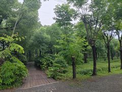 -嘉北郊野公园