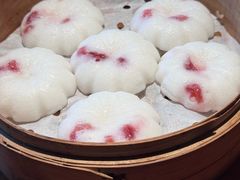 蔓越莓糕-鸽舞笙平金牌烧鸽子·融合菜(鲁谷店)