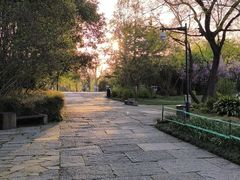 -西溪国家湿地公园