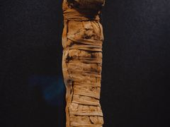 -遇见博物馆(遇见海洋沉浸式奇幻光影展)