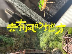 -九龙潭景区