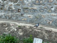 -五台山风景名胜区-罗睺寺
