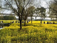 -临平南高铁站(地铁站)