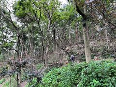 -黔灵山公园