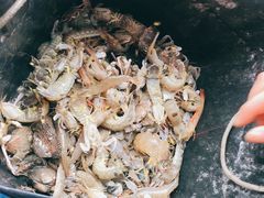 -红月湾海鲜饭店•沙滩海景(双月湾店)