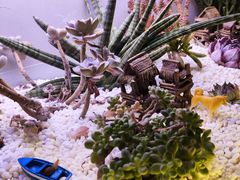 -街角等你.大连海鲜烧烤.经典铁板海鲜串(西安路店)