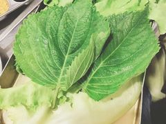 -老板娘的烤肉店(港湾广场店)
