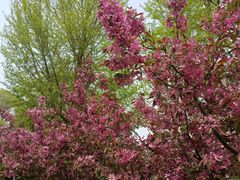 -元大都城垣遗址公园