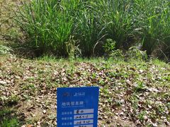 -上膳源有机农场