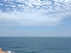 -广东惠东海龟国家级自然保护区