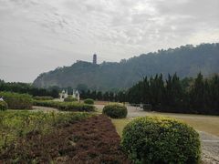 -南沙蒲洲花园