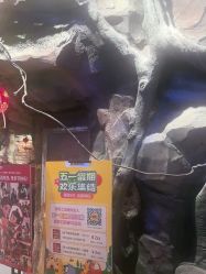 -探洞工场(丰科万达旗舰店)