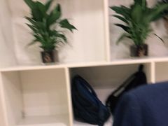 -春来和(汉城南路店)