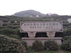 -龙井壹号·茶缘山景宴(龙井村店)