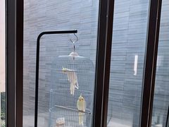 -上海崇明金茂凯悦酒店