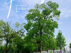 -不觉晓CAMPING(上海迪士尼营地店)