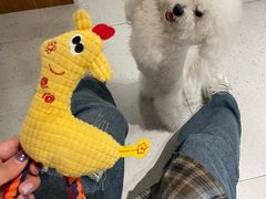 -MOI COFFEE(江山汇悦山府店)