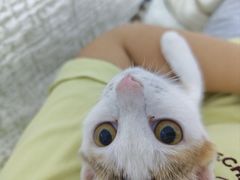 -博特宠物医院24h犬猫全科.骨科·异宠