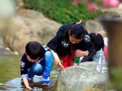 -秀丽东方