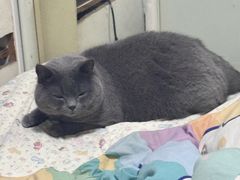 -海底捞火锅(新华联梦想城店)