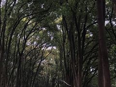 -上海市保健医疗中心(华东疗养院)