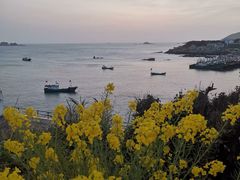 -东极岛景区