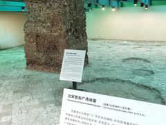 -南越王博物院(王宫展区)