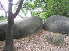-火炉山森林公园