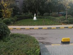 小区环境-金辉·天鹅湾