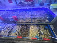 -金海湾海鲜排档(朱家尖店)