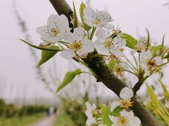 -洪大厨鸡煲(福田店)