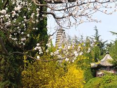 -龙口南山旅游景区