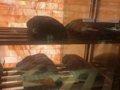 -ZHAO赵·牛扒坊(万象城店)