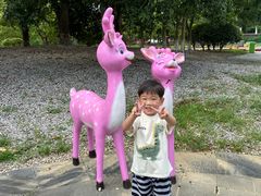 -中国扬子鳄村