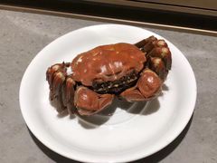 -吕氏疙瘩汤·海鲜新鲁菜(凯德mall新都心店)