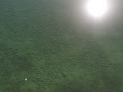-金塔沙漠胡杨林景区